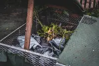 Making your own compost