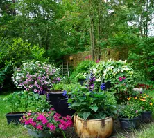 Container displays to last