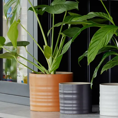 Amber 'Hadleigh' Ivyline Plant Pot 17cm - image 1