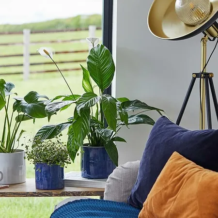 Blue 'Azure' Ivyline Plant Pot 20cm - image 1