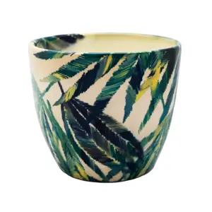 Botanical Fern 'Monza' Ivyline Plant Pot 13cm - image 2