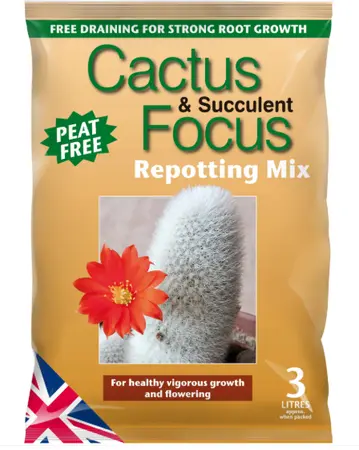 Cactus & Succulent Focus Repotting Mix Peat Free 3L - image 1