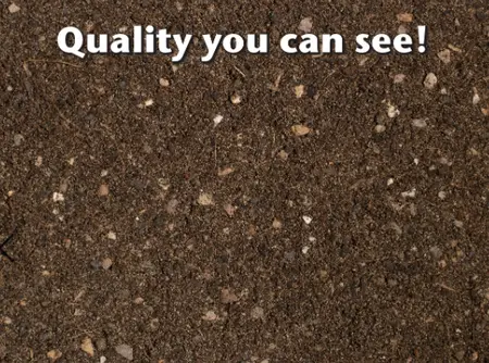 Cactus & Succulent Focus Repotting Mix Peat Free 3L - image 3