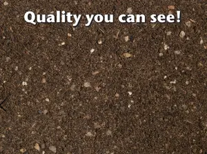 Cactus & Succulent Focus Repotting Mix Peat Free 3L - image 3