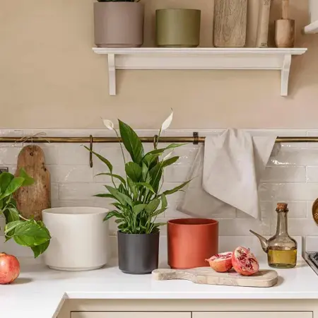 Cayenne 'Prague' Ivyline Plant Pot 16cm - image 1