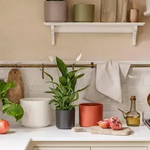 Cayenne 'Prague' Ivyline Plant Pot 16cm - image 1