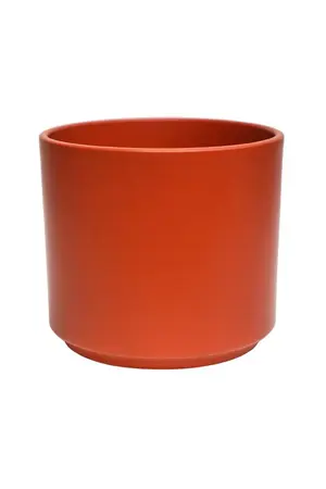 Cayenne 'Prague' Ivyline Plant Pot 16cm - image 3
