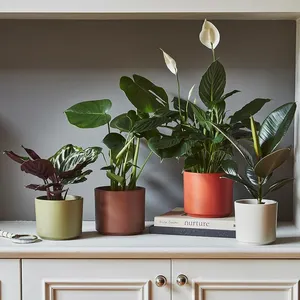 Cayenne 'Prague' Ivyline Plant Pot 16cm - image 2