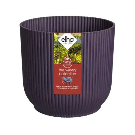 Deep Purple 16cm - image 2