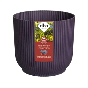 Deep Purple 16cm - image 2