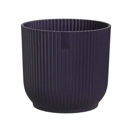 Deep Purple 16cm - image 3