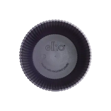 Deep Purple 16cm - image 4