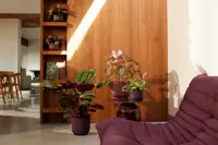 Elho Winery Collection