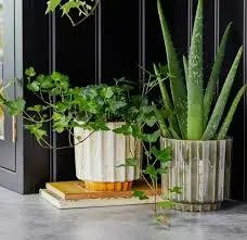 Green 'Lugano' Scalloped Ivyline Plant Pot 13cm - image 1