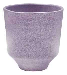 Heather 'Orchid' Ivyline Plant Pot 14cm