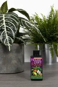 Houseplant Focus 300ml - image 2