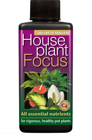 Houseplant Focus 300ml - image 1