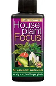 Houseplant Focus 300ml