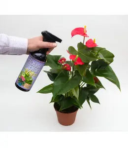 Houseplant Myst 300ml - image 2