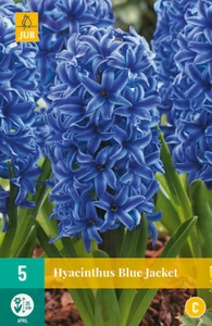 Hyacinth Blue Jacket