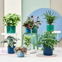 Indoor Pots & Extras