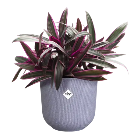 Lavender Lilac 'Jazz' Elho Plant Pot 14cm        - image 1