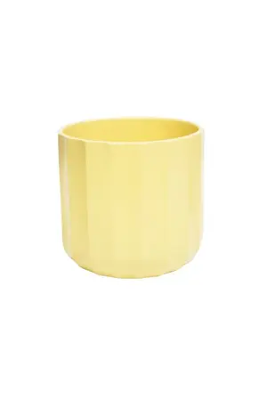 Lemon 'Positano' Ivyline Geo Plant Pot 13cm - image 2