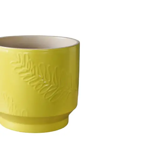 Lime 'Botanist' Ivyline Leaf Embossed Plant Pot 15cm - image 4