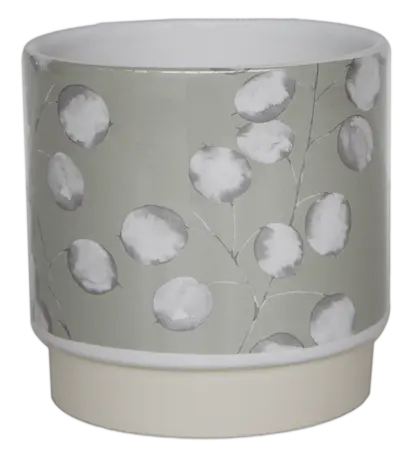 Mint 'Honesty' Ivyline Plant Pot 12cm