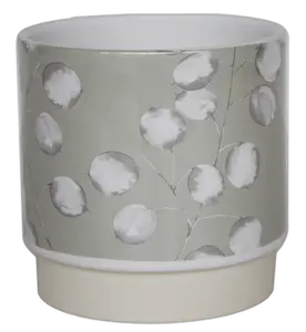 Mint 'Honesty' Ivyline Plant Pot 12cm