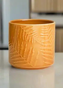 Mustard 'Orla' Ivyline Plant Pot 14cm - image 2