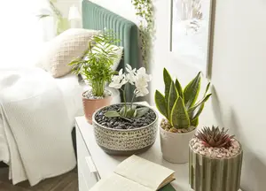 'Nightfall' Pot Toppers Decorative Stones - image 2