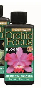 Orchid Focus BLOOM 300ml