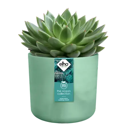 Pacific Green 'Ocean' Elho Plant Pot 14cm - image 4