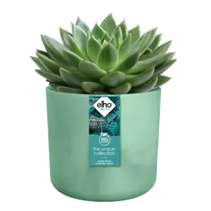 Pacific Green 'Ocean' Elho Plant Pot 14cm - image 4