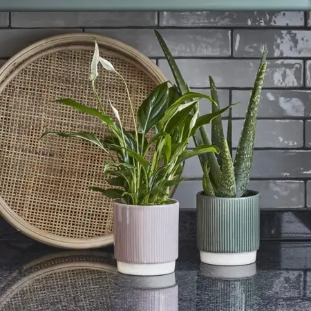 Pink Ribbed 'Athens' Ivyline Plant Pot 13.5cm - image 1