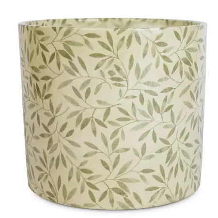 Sage 'Lazzaro' Foliage Plant Pot 13cm - image 4