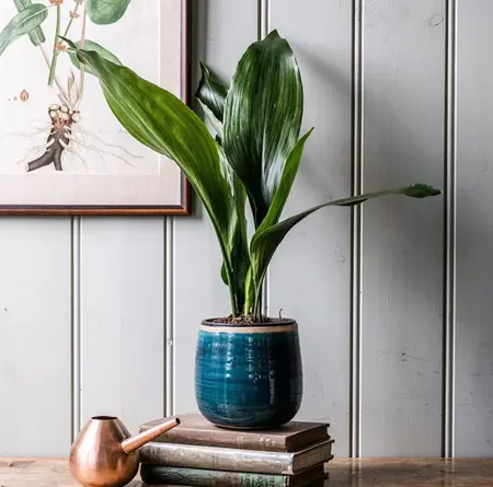 Turquoise 'Como' Ivyline Plant Pot 14cm - image 1