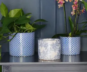 Vintage Foliage 'Lazzaro' Ivyline Plant Pot 16cm